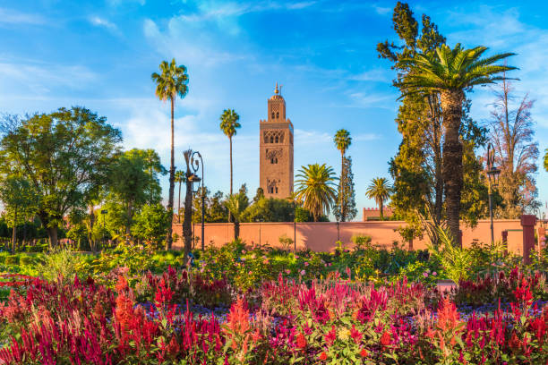 PLANTES MAROC